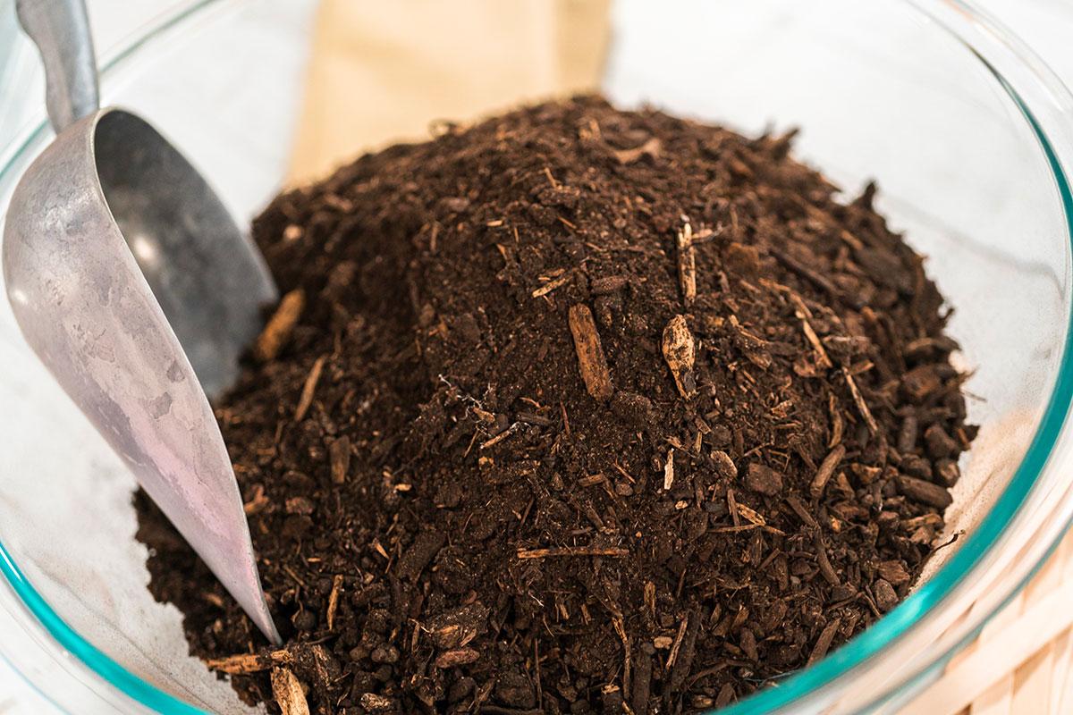 Waarom stikstof zo belangrijk is voor je tuin (en hoe je het op een makkelijke manier kunt optimaliseren)