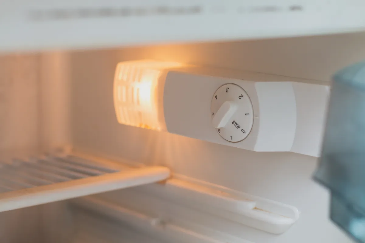 Verspil je onbewust energie? Zo stel je je koelkast insteek tijdens een hittegolf