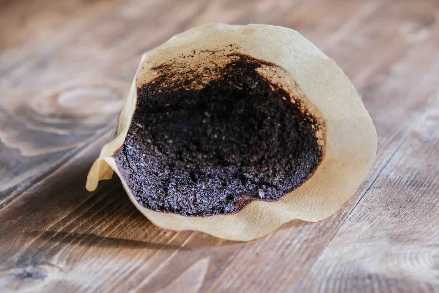 Koffiedik: het goud van de tuin