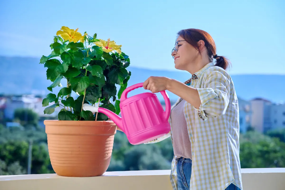 Het perfecte moment om je planten water te geven