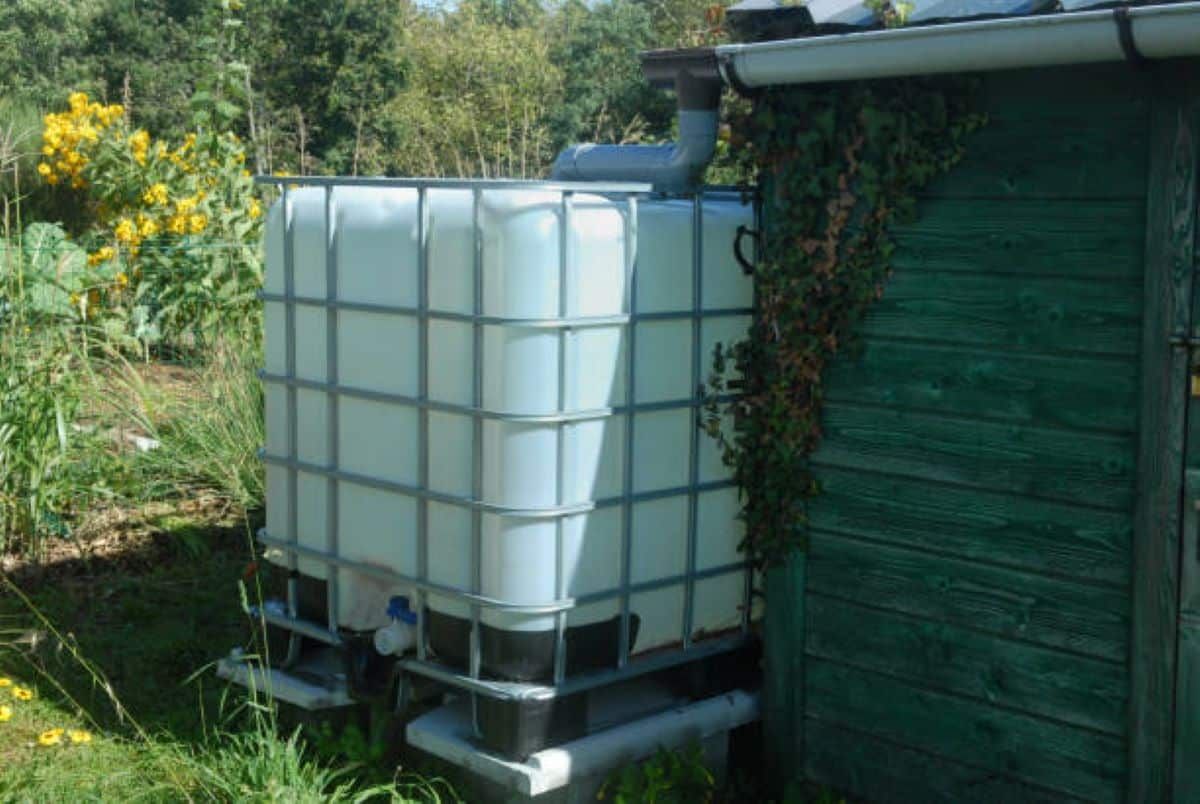 Regenwateropvang: een slimme oplossing voor waterbeheer