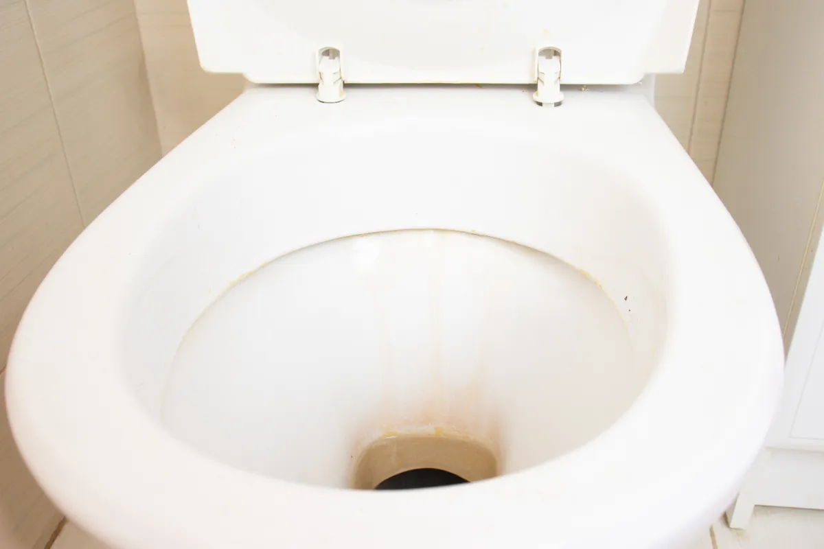 Een stralend schone toiletpot met natuurlijke middelen
