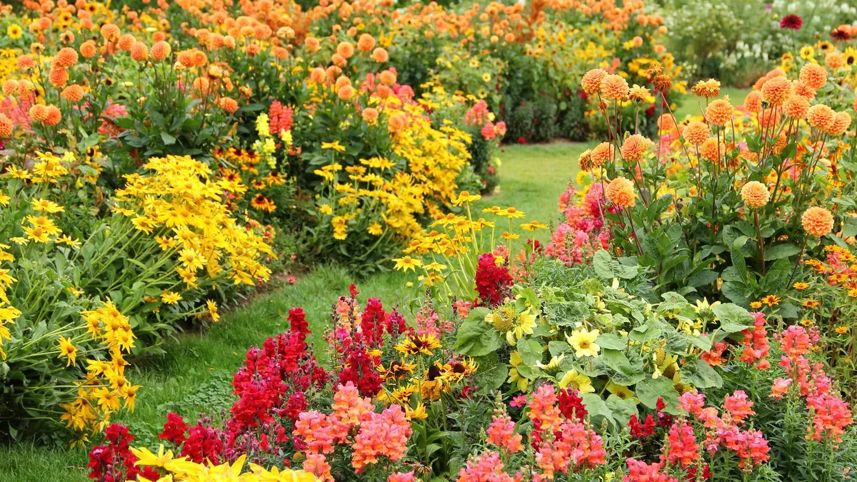 Zelfzaaiende bloemen: een duurzame keuze voor jouw tuin